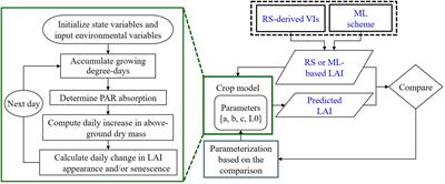 Combining machine learning and remote sensing-integrated crop modeling for rice and soybean crop simulation